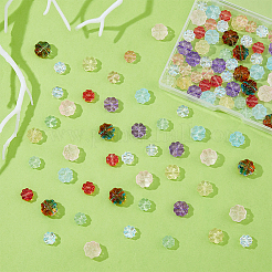 100Pcs 10 Style Transparent Czech Glass Beads&nbsp;GLAA-FH0001-72