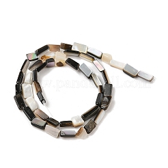 Natural Black Lip Shell Beads Strands&nbsp;SHEL-R100-01A