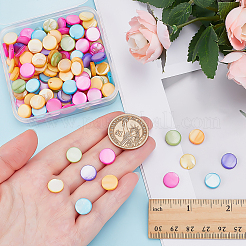 150Pcs Natural Freshwater Shell Beads&nbsp;SHEL-ME0001-03