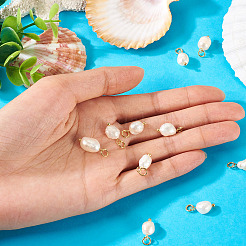 10Pcs Natural Cultured Freshwater Pearl Pendants&nbsp;PALLOY-TAC0218