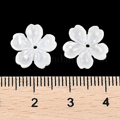 Natural White Shell Carved Beads&nbsp;SSHEL-I026-12D-05