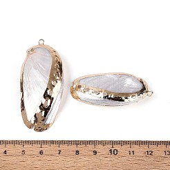 Electroplate Natural Sea Shell Big Pendants&nbsp;SSHEL-T018-18