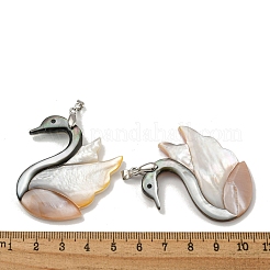 Natural Paua Shell & White Shell Pendants&nbsp;KK-U025-13P