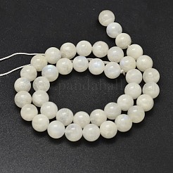 Round Grade A Natural Rainbow Moonstone Bead Strands&nbsp;G-M304-06-10mm