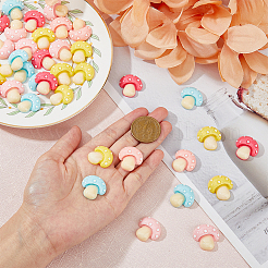 60Pcs 5 Colors Opaque Resin Cabochons&nbsp;RESI-DC0001-20
