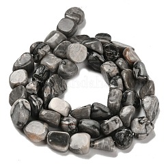 Natural Map Stone Beads Strands&nbsp;G-P497-01E-58