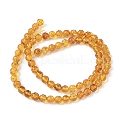 Natural Amber Beads Strands&nbsp;G-L095-B01-5mm-02