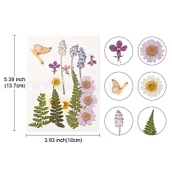 Pressed Dried Flowers&nbsp;DIY-YWC0001-94