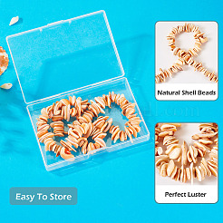 1 Strand Natural Seashell Shell Beads Strands&nbsp;SSHEL-TA0001-13