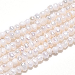 Natural Cultured Freshwater Pearl Beads Strands&nbsp;PEAR-N013-01