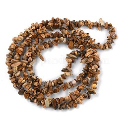 Natural Picture Jasper Beads Strands&nbsp;G-G0003-B16
