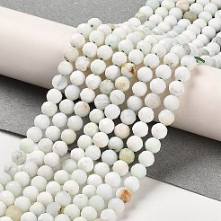 Natural Green Opal Beads Strands&nbsp;G-Z035-A02-03D