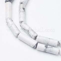Natural Howlite Bead Strands&nbsp;G-G968-F03
