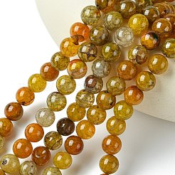 Dyed Natural Dragon Veins Agate Beads Strands&nbsp;X-G-C068-10mm-15
