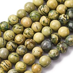 Natural Verdite Stone Beads Strands&nbsp;G-C242-03-10mm
