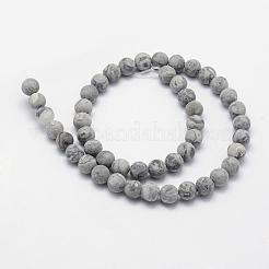 Natural Map Stone/Picasso Stone/Picasso Jasper Beads Strands&nbsp;G-F518-16-6mm