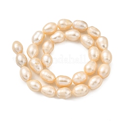 Natural Cultured Freshwater Pearl Beads Strands&nbsp;PEAR-I007-01H-02B
