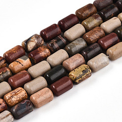 Natural Picasso Jasper/Polychrome Jasper Beads Strands&nbsp;G-N346-01B-05