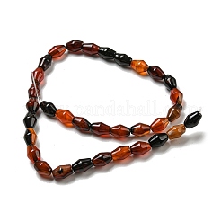 Natural Agate Beads Strands&nbsp;G-A223-C10-01