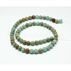 Round Synthetic Aqua Terra Jasper Beads Strands&nbsp;G-N0160-04-4mm
