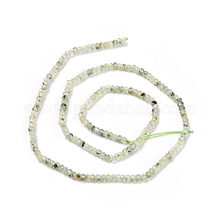 Natural Prehnite Beads Strands&nbsp;G-E194-06