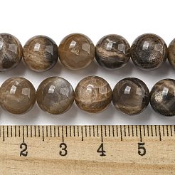Natural Black Moonstone Beads Strands&nbsp;G-Q183-A01-02