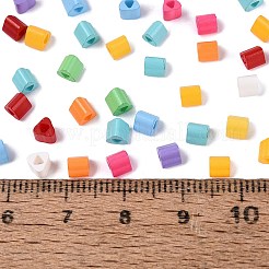 FGB Baking Paint Glass Seed Beads&nbsp;SEED-Q040-09A-M02