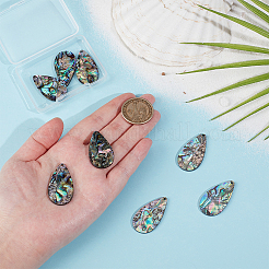 8Pcs Natural Paua Shell/Abalone Shell Pendants&nbsp;SHEL-BC0001-048B