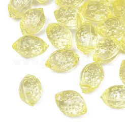 Transparent Acrylic Pendants&nbsp;OACR-G065-01A