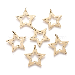 Ion Plating(IP) 304 Stainless Steel Pendants&nbsp;STAS-H100-27G