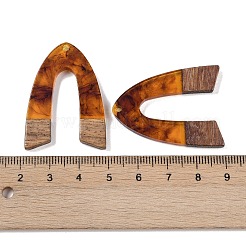 Resin & Wood Pendants&nbsp;WOOD-F015-16C