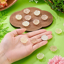 12Pcs 2 Colors Transaprent Resin Enamel Cabochons&nbsp;CRES-TA0001-91