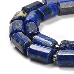 Natural Lapis Lazuli Beads Strands&nbsp;G-G068-A13-01