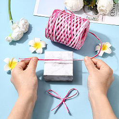 Segment Dyed Raffia Paper Cords for DIY Craft&nbsp;OCOR-WH20020-27A