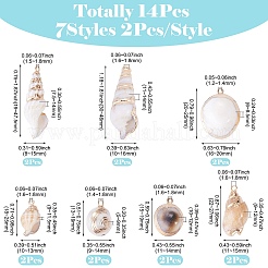 14Pcs 7 Styles Electroplated Natural Mixed Shell Pendants&nbsp;BSHE-TA0001-34B