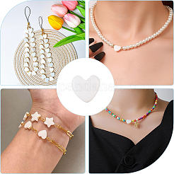 3 Strands Natural Freshwater Shell Beads Strands&nbsp;SHEL-LT0001-02