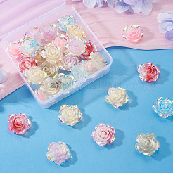 30Pcs 6 Colors Luminous Resin Cabochons&nbsp;CRES-TA0001-79