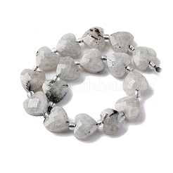 Natural Labradorite Beads Strands&nbsp;G-P570-E18-01
