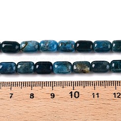 Natural Apatite Beads Strands&nbsp;G-G980-51A
