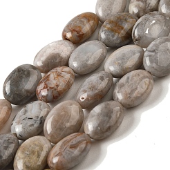 Natural Crazy Lace Agate Beads Strands&nbsp;G-G102-B01-01