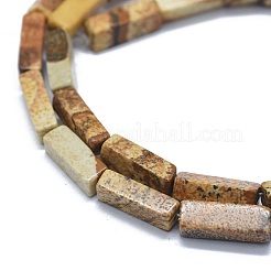 Natural Picture Jasper Beads Strands&nbsp;G-F631-E07