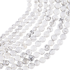 2 Strands Natural Howlite Beads Strands&nbsp;G-PA0002-70A