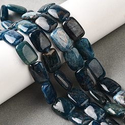 Natural Apatite Beads Strands&nbsp;G-Q026-B01-02