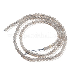 Natural Grey Agate Beads Strands&nbsp;G-Q004-B01-01