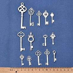 Alloy Pendants&nbsp;FIND-D040-01S