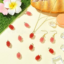 12Pcs 2 Colors Resin Pendants&nbsp;RESI-CJ0004-71
