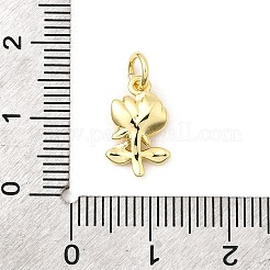 Brass Pendants&nbsp;KK-I364-44G