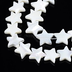 Natural Trochid Shell/Trochus Shell Beads Strands&nbsp;SSHEL-N034-96B-B01