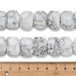 Natural Howlite Beads Strands&nbsp;G-C285-A10-01
