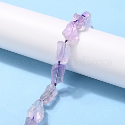 Rough Raw Natural Amethyst Beads Strands&nbsp;G-G010-09
